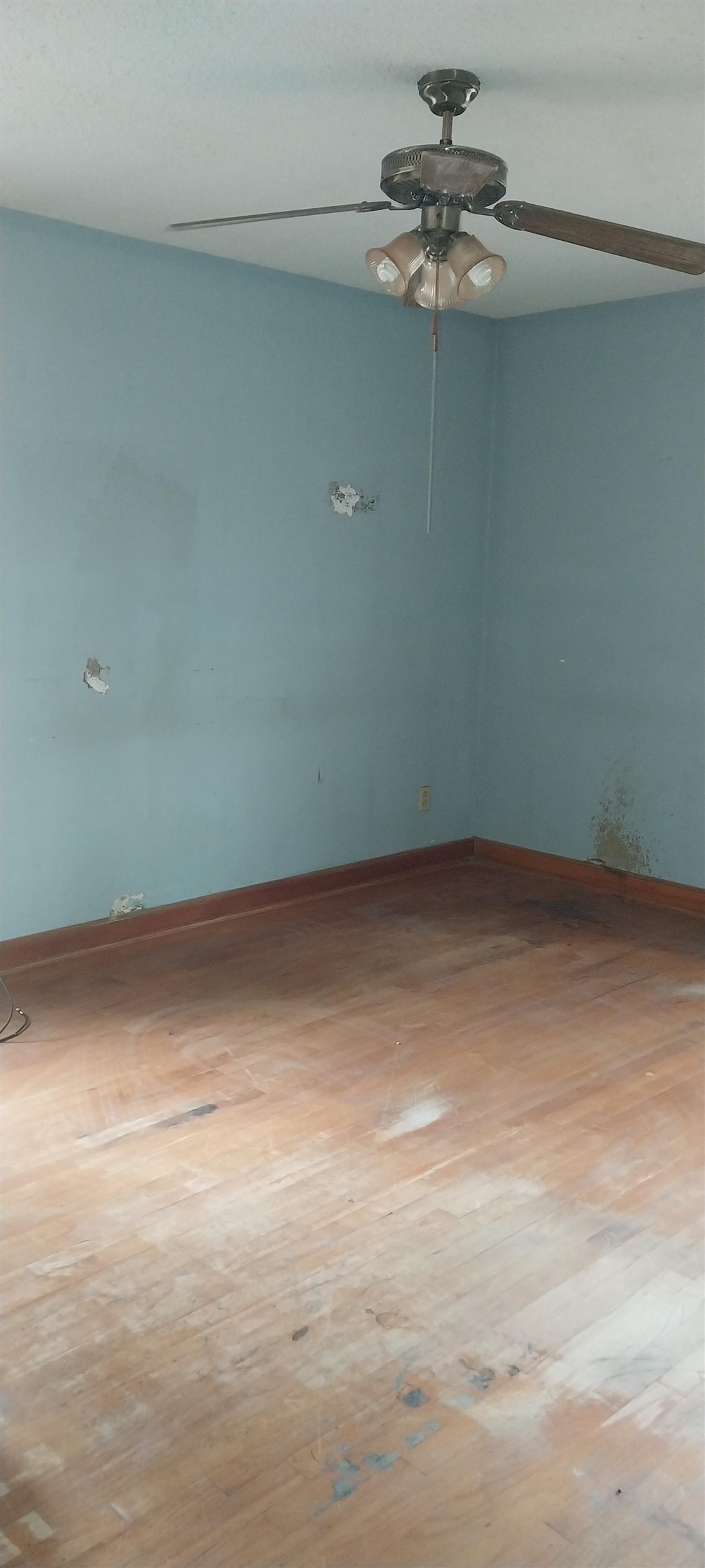 81 Wintergreen Road Salters, SC 29590 - Photo 6 of 21