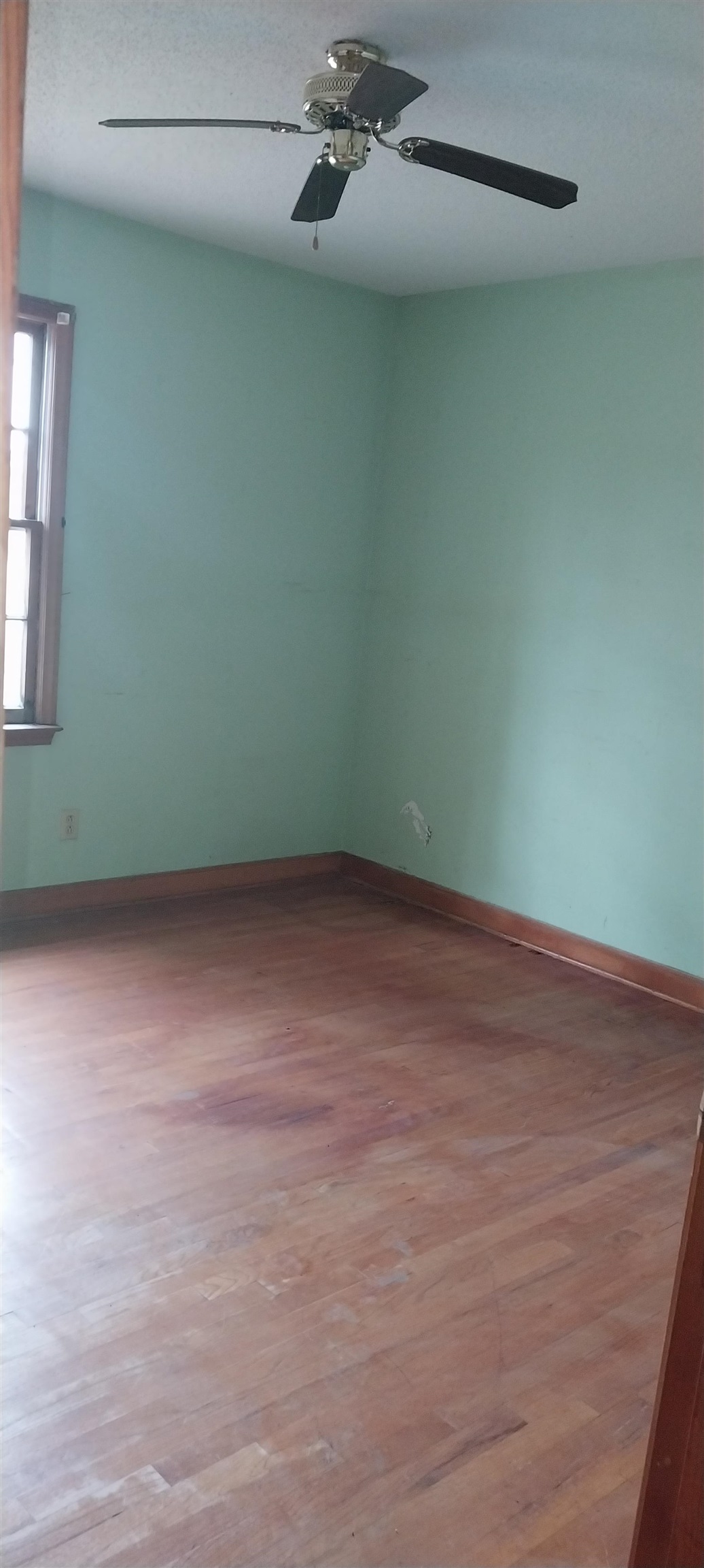 81 Wintergreen Road Salters, SC 29590 - Photo 10 of 21