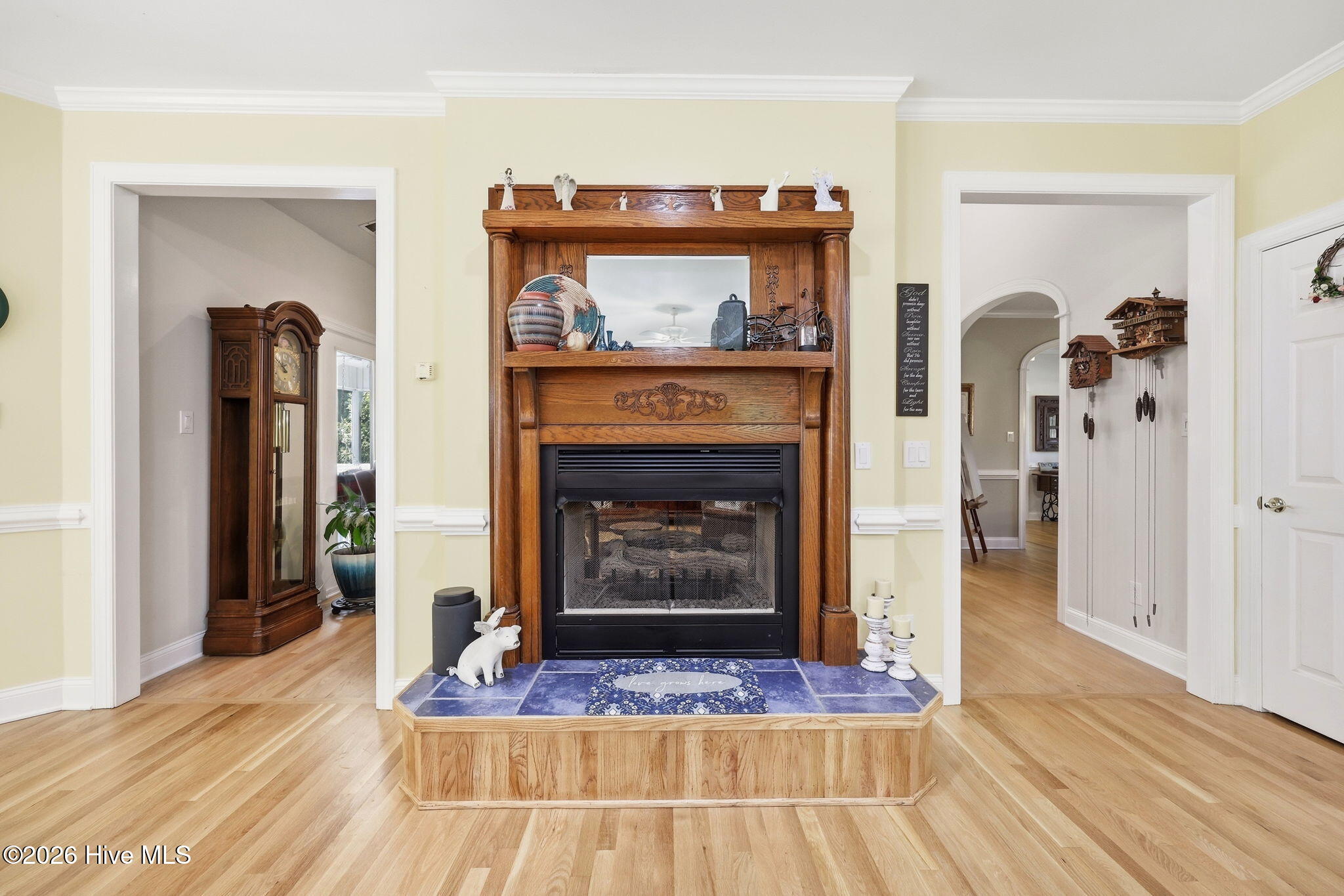 206 Choptank Drive Chocowinity, NC 27817 - Photo 15 of 59 fireplace in kitchen