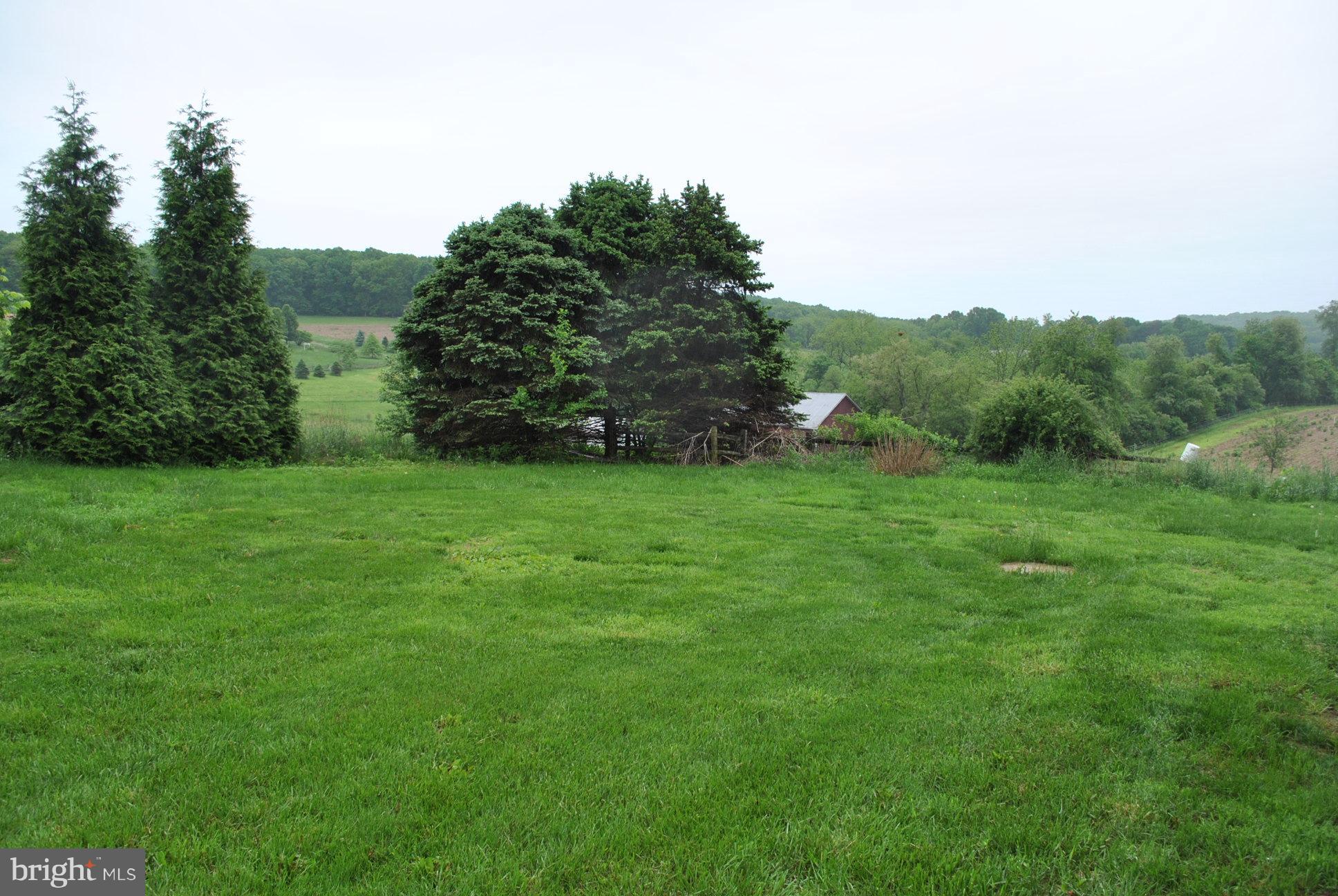 3803 Rockdale Road Manchester, MD 21102 - Photo 2 of 30 a view of a grassy field with trees