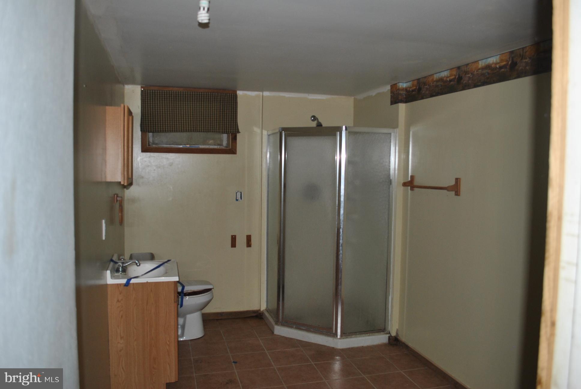 3803 Rockdale Road Manchester, MD 21102 - Photo 26 of 30 a bathroom with a glass door shower a sink and a mirror