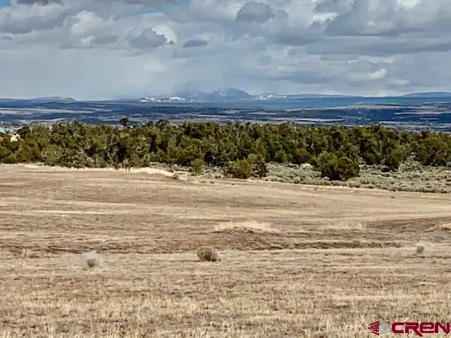 a view of an ocean beach