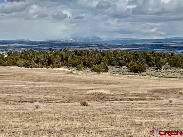 Lot 11 Road 17.9 Cortez Co 81321 Cortez, CO 81321 - Photo 17 of 17 a view of an ocean beach