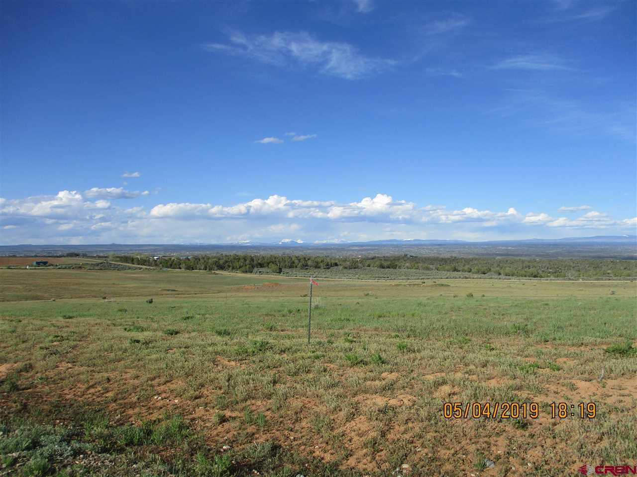 Lot 11 Road 17.9 Cortez Co 81321 Cortez, CO 81321 - Photo 5 of 17 a view of an outdoor space and yard