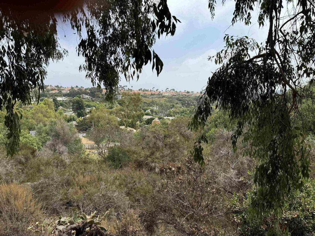 4340 Highland Drive Carlsbad, CA 92008 - Photo 26 of 28 a view of a yard