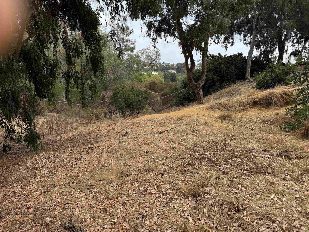 4340 Highland Drive Carlsbad, CA 92008 - Photo 28 of 28 a view of a yard with a tree