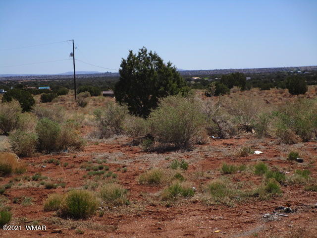 4994 Concho Ocho Road Snowflake, AZ 85937 - Photo 6 of 25 Gallery Image 6