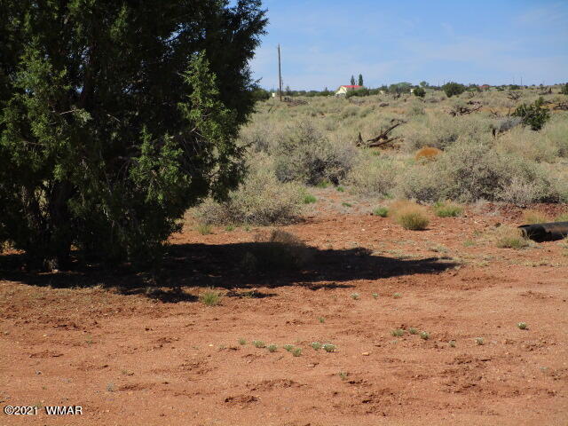 4994 Concho Ocho Road Snowflake, AZ 85937 - Photo 7 of 25 Gallery Image 7