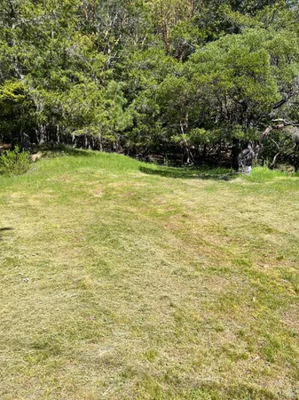 a view of a green yard