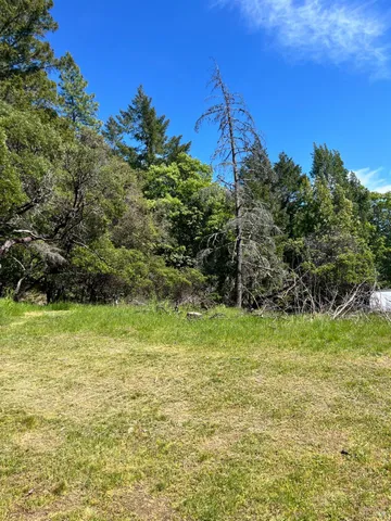 a view of a field with a tree in the background