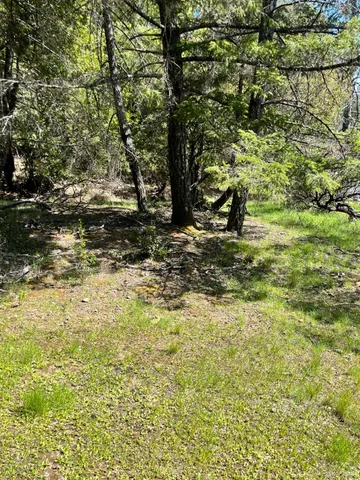 a fire hydrant in the middle of a field