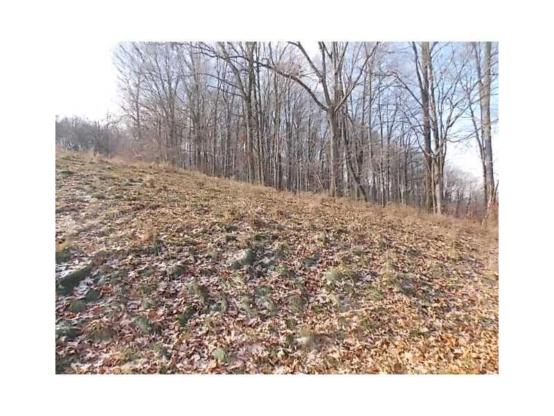 174 Chestnut Road Avella, PA 15312 - Photo 11 of 11 Yard/Garden.