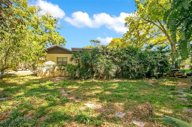 a view of a trees in a yard with a house