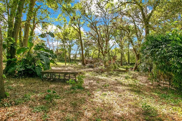 a view of garden with trees
