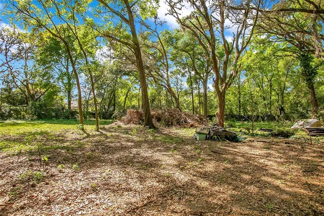 a view of a yard with a tree