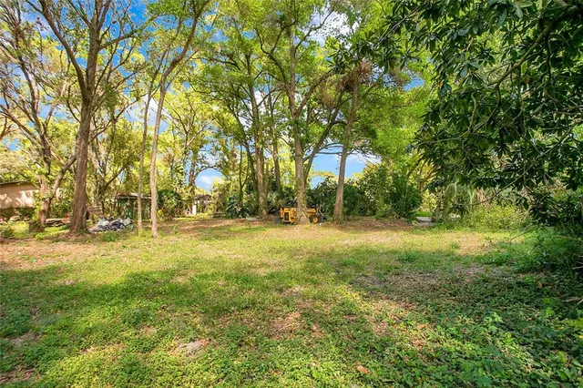 a view of yard with trees