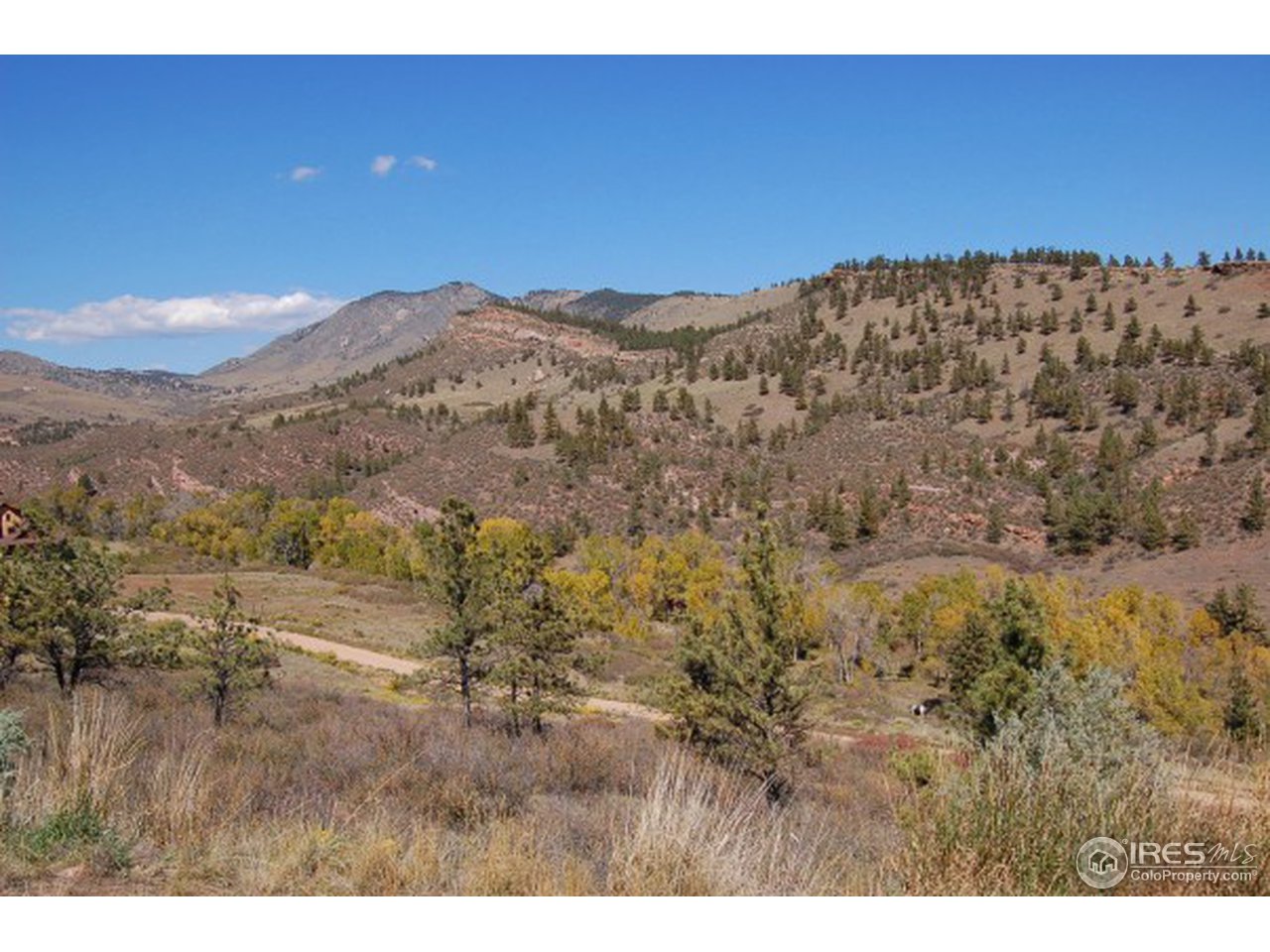 1016 Vision Way Lyons, CO 80540 - Photo 13 of 13 a view of a dry yard