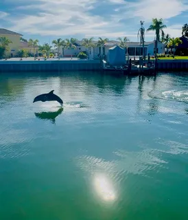 $1,499,000 | 3784 42nd Avenue South, St. Petersburg, FL 33711