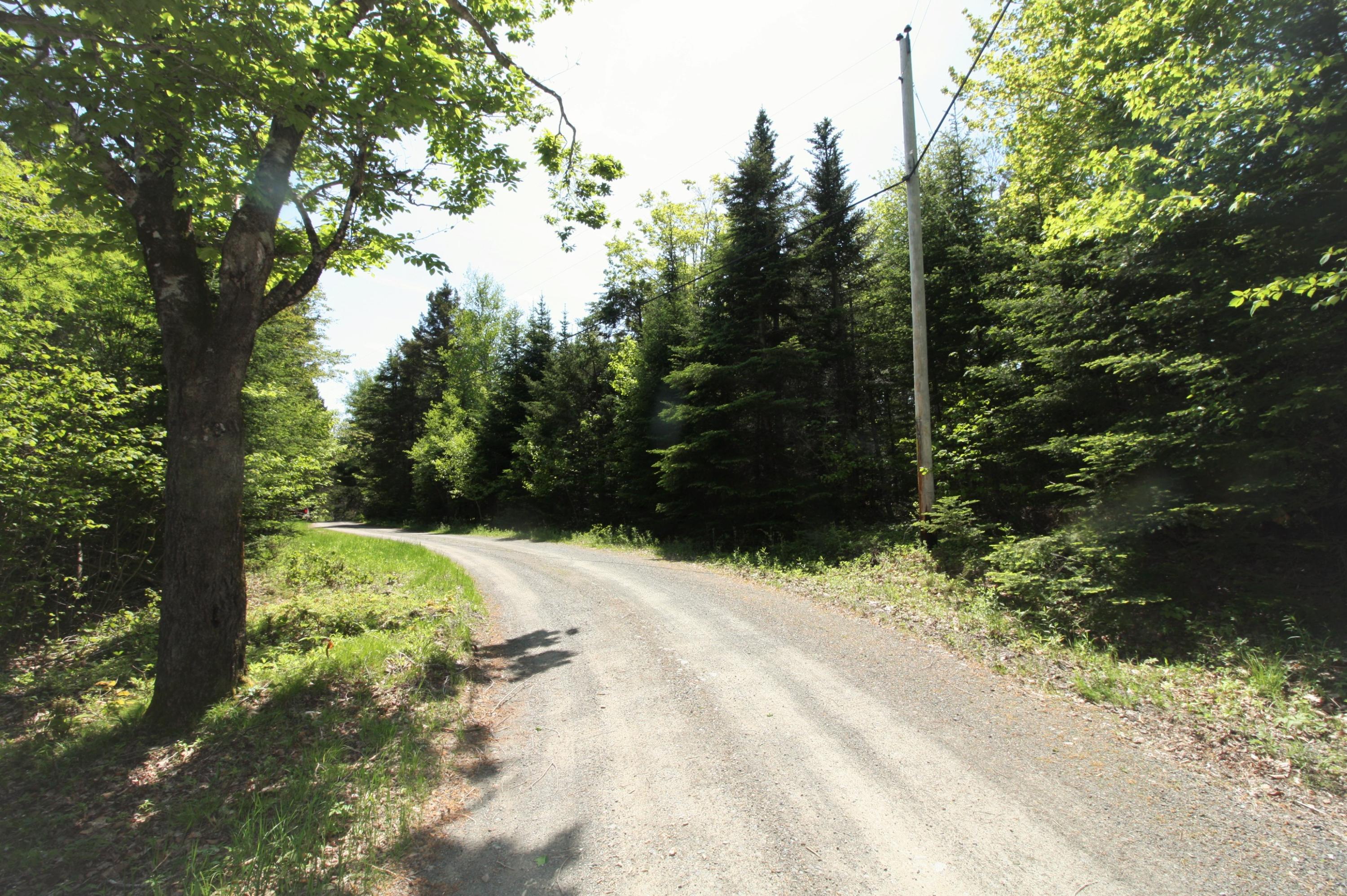9.2 Raft Cove Road Lubec, ME 04652 - Photo 10 of 10 HOCTOR ROAD FRONTAGE 1