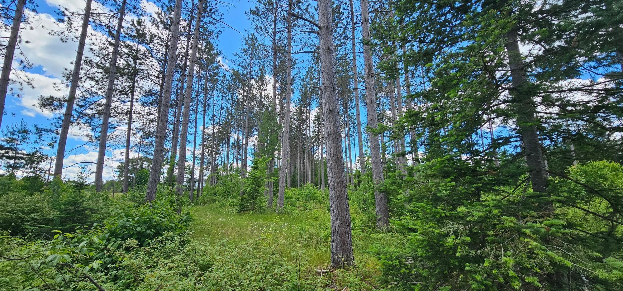 Lot 4 Baade Road Rhinelander, WI 54501 - Photo 14 of 16