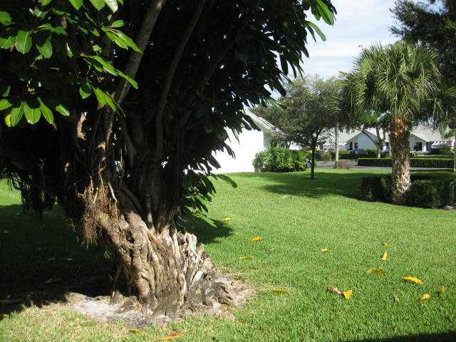 10875 Lake Front Place Boca Raton, FL 33498 - Photo 2 of 5 Additional Photo