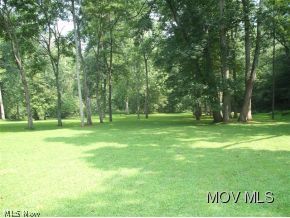 907 Bone Crk Road Berea, WV 26327 - Photo 5 of 12