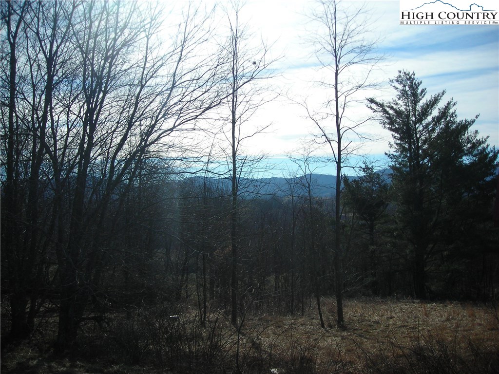 Halsey Knob Road Sparta, NC 28675 - Photo 11 of 12 Gallery Image 11