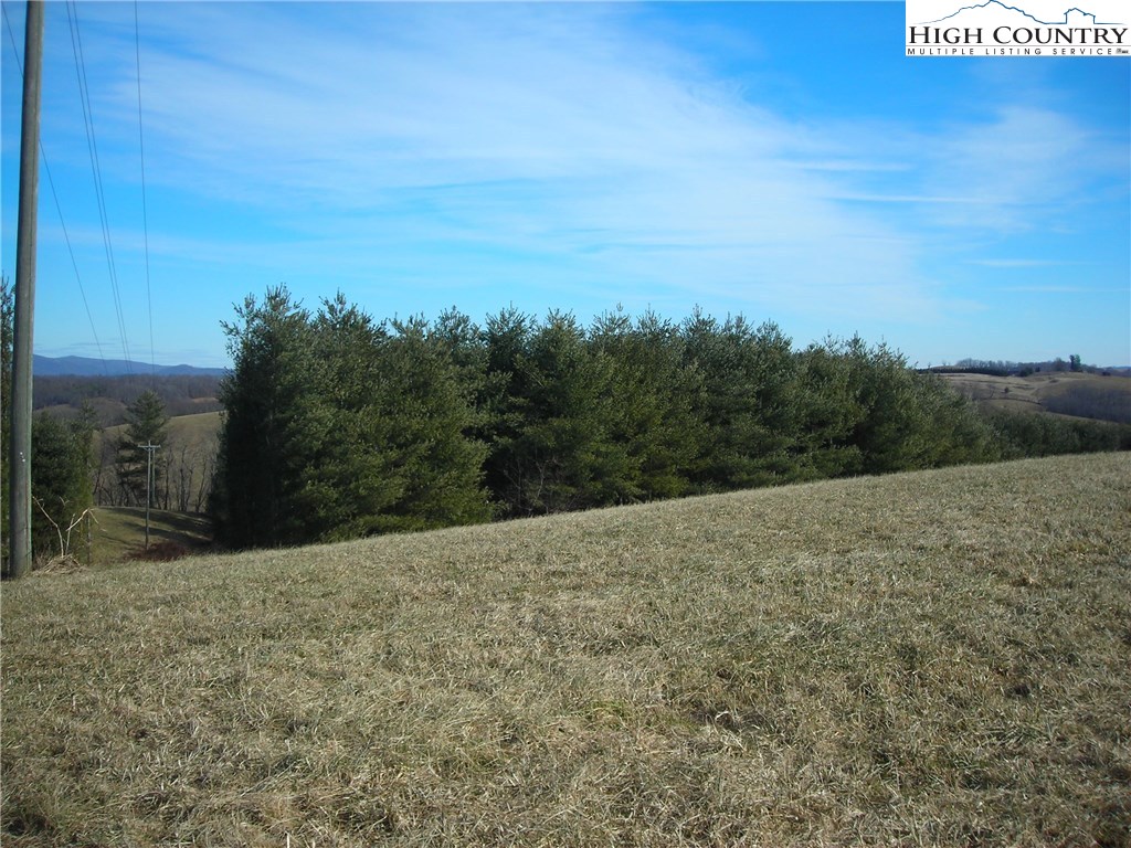 Halsey Knob Road Sparta, NC 28675 - Photo 2 of 12 Gallery Image 2