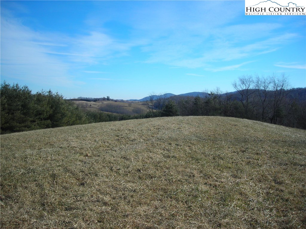 Halsey Knob Road Sparta, NC 28675 - Photo 3 of 12 Gallery Image 3
