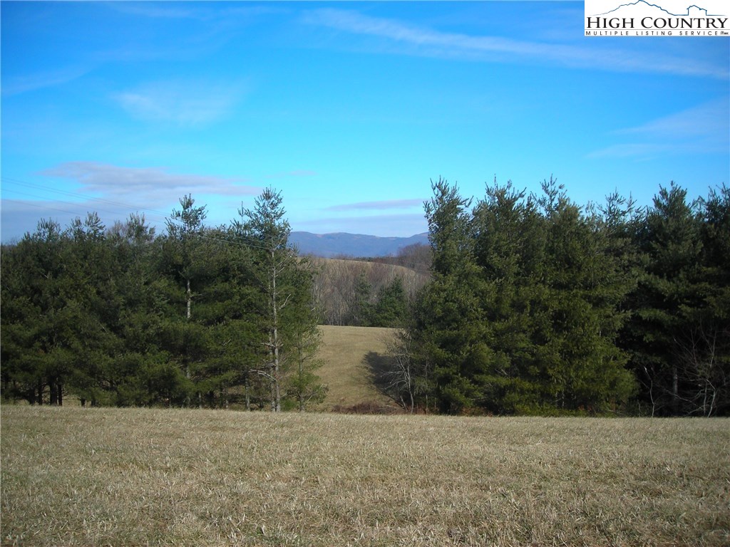 Halsey Knob Road Sparta, NC 28675 - Photo 4 of 12 Gallery Image 4