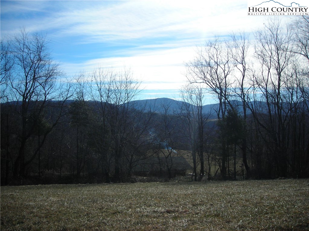 Halsey Knob Road Sparta, NC 28675 - Photo 5 of 12 Gallery Image 5