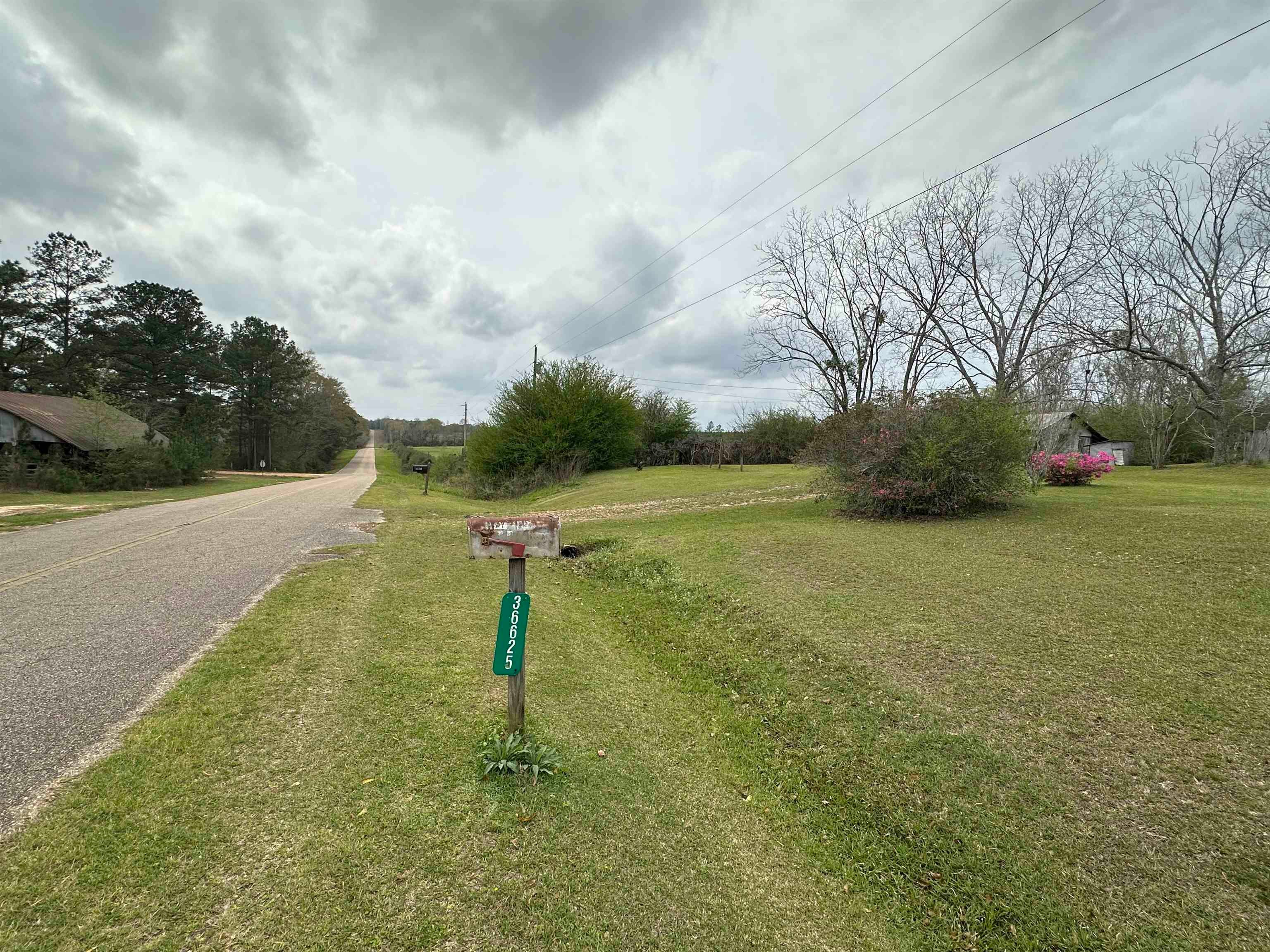 36625 Hesters Store Road Red Level, AL 36474 - Photo 3 of 47 Gallery Image 3