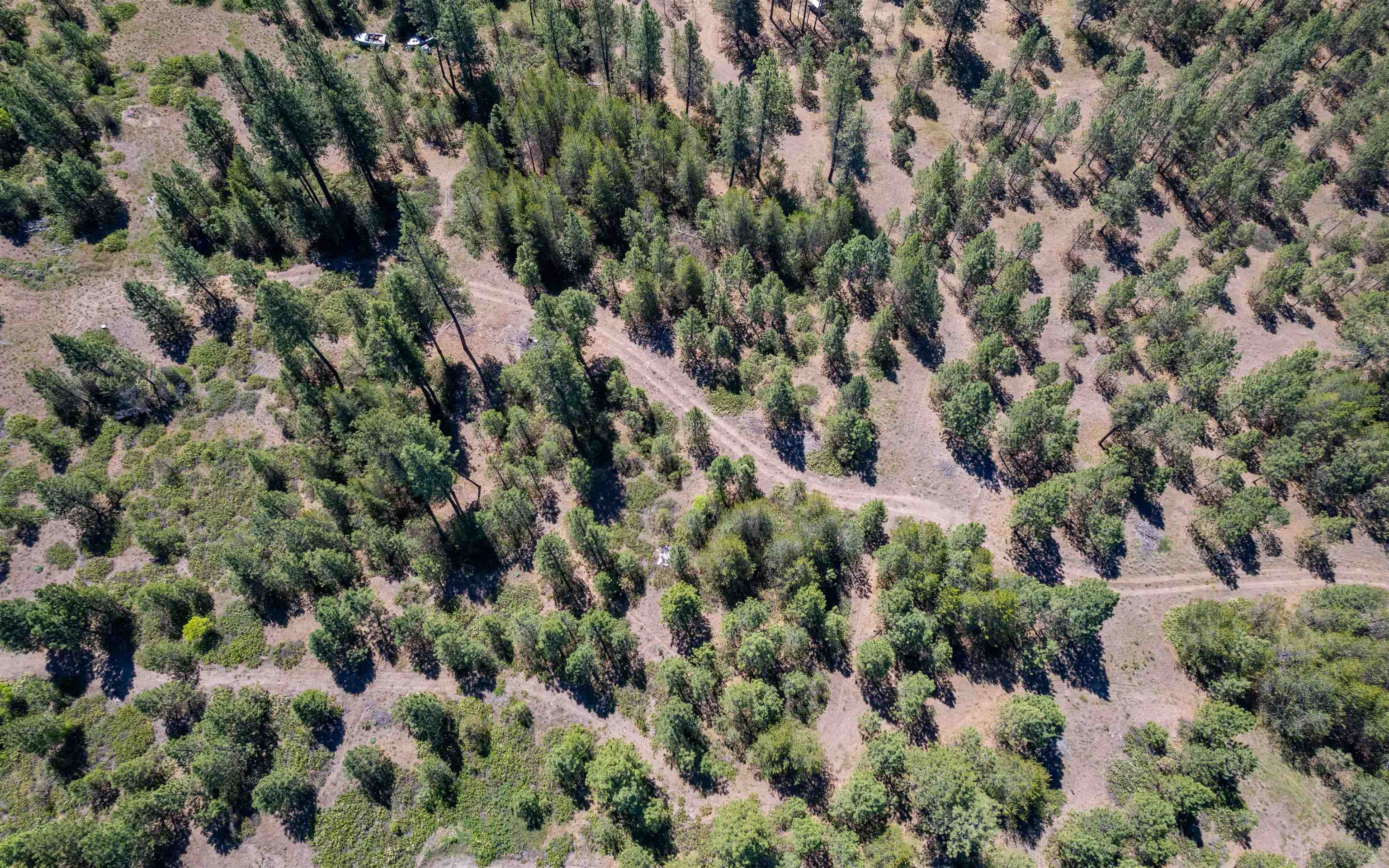 29-xxx North Hardesty Road Chattaroy, WA 99003 - Photo 30 of 40