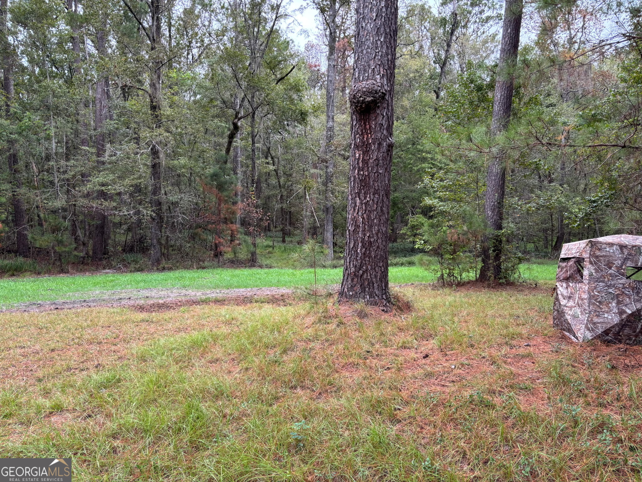 0 Buttermilk Road Millen, GA 30442 - Photo 4 of 5