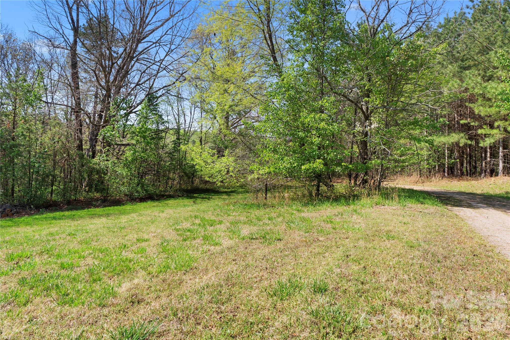 4675 Hickory Nut Ridge Road Granite Falls, NC 28630 - Photo 2 of 14 a view of a yard with a trees