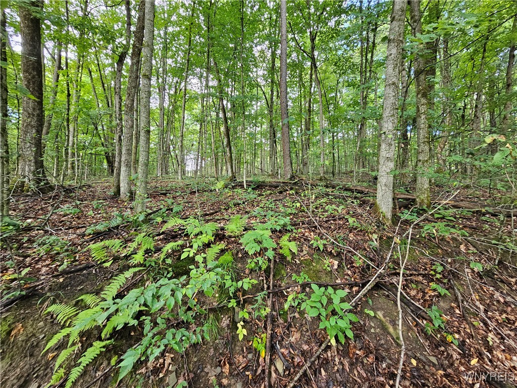 Dublin Terrace Road Salamanca, NY 14779 - Photo 2 of 4