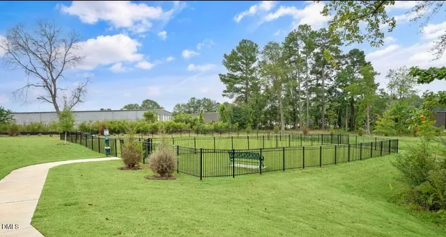 a view of a park with large trees