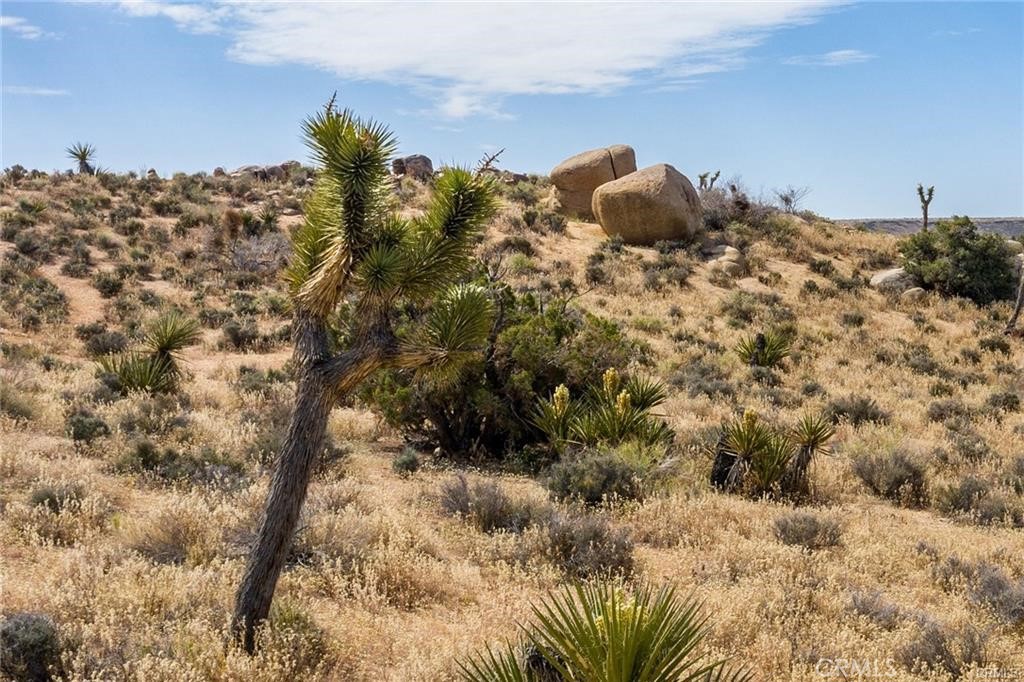 52000 Jalmar Road Landers, CA 92285 - Photo 1 of 1 Gallery Image 1