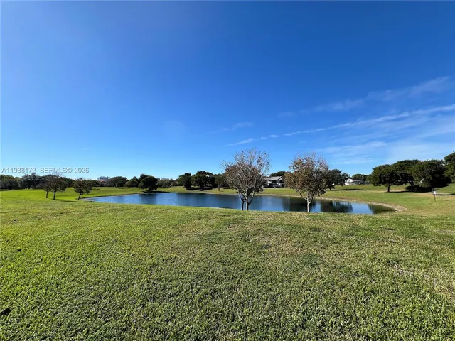 a view of a park with large trees