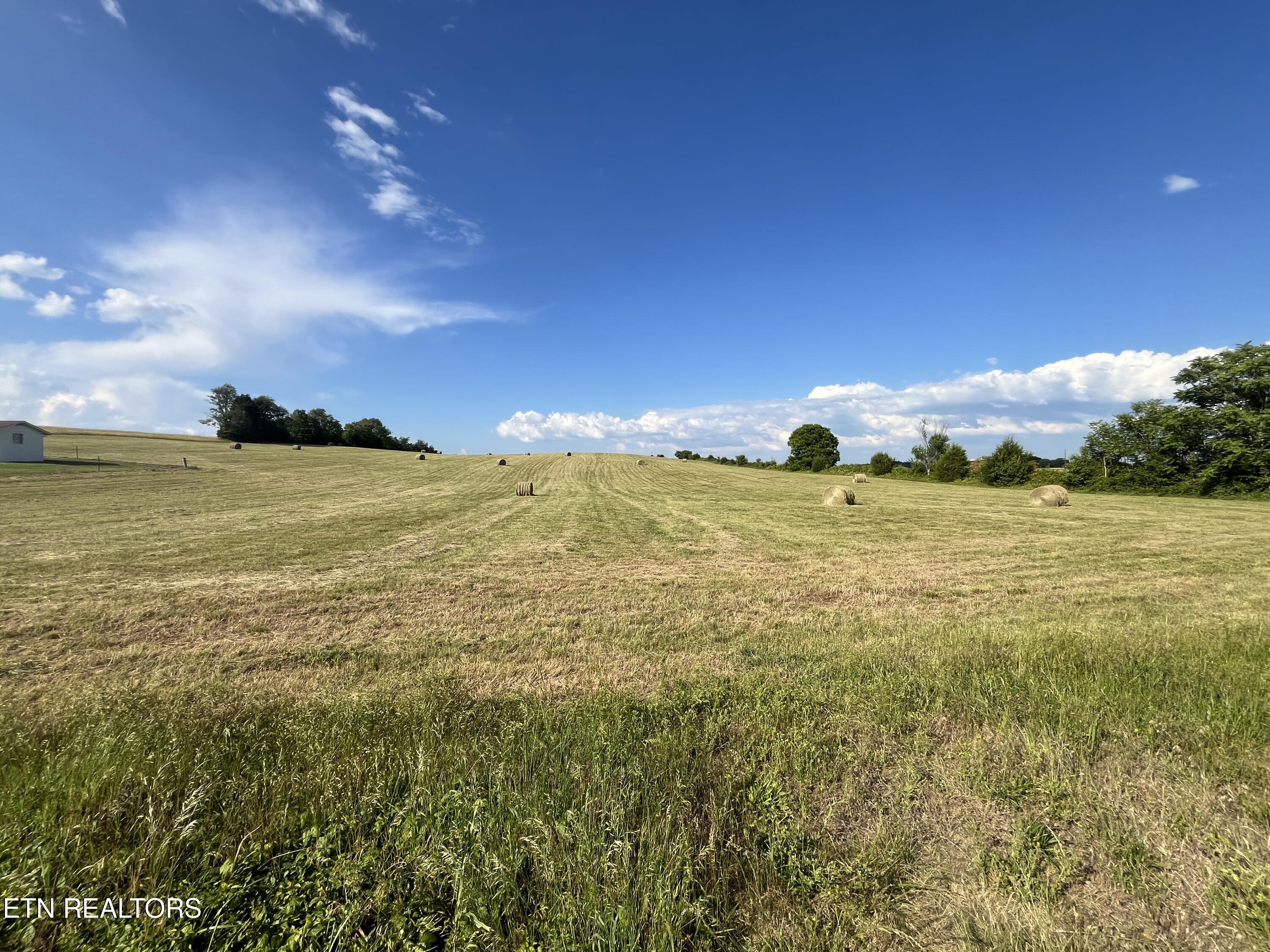 9.32 Acres Off Sam Martin Road Dandridge, TN 37725 - Photo 1 of 26 1