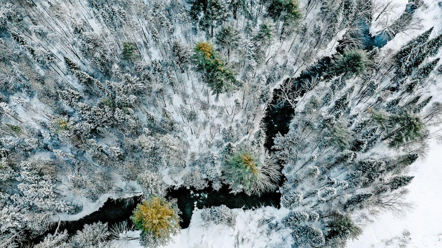 659 Embden Pond Road Embden, ME 04958 - Photo 10 of 46 Magical Moments Photography-Allied Photo