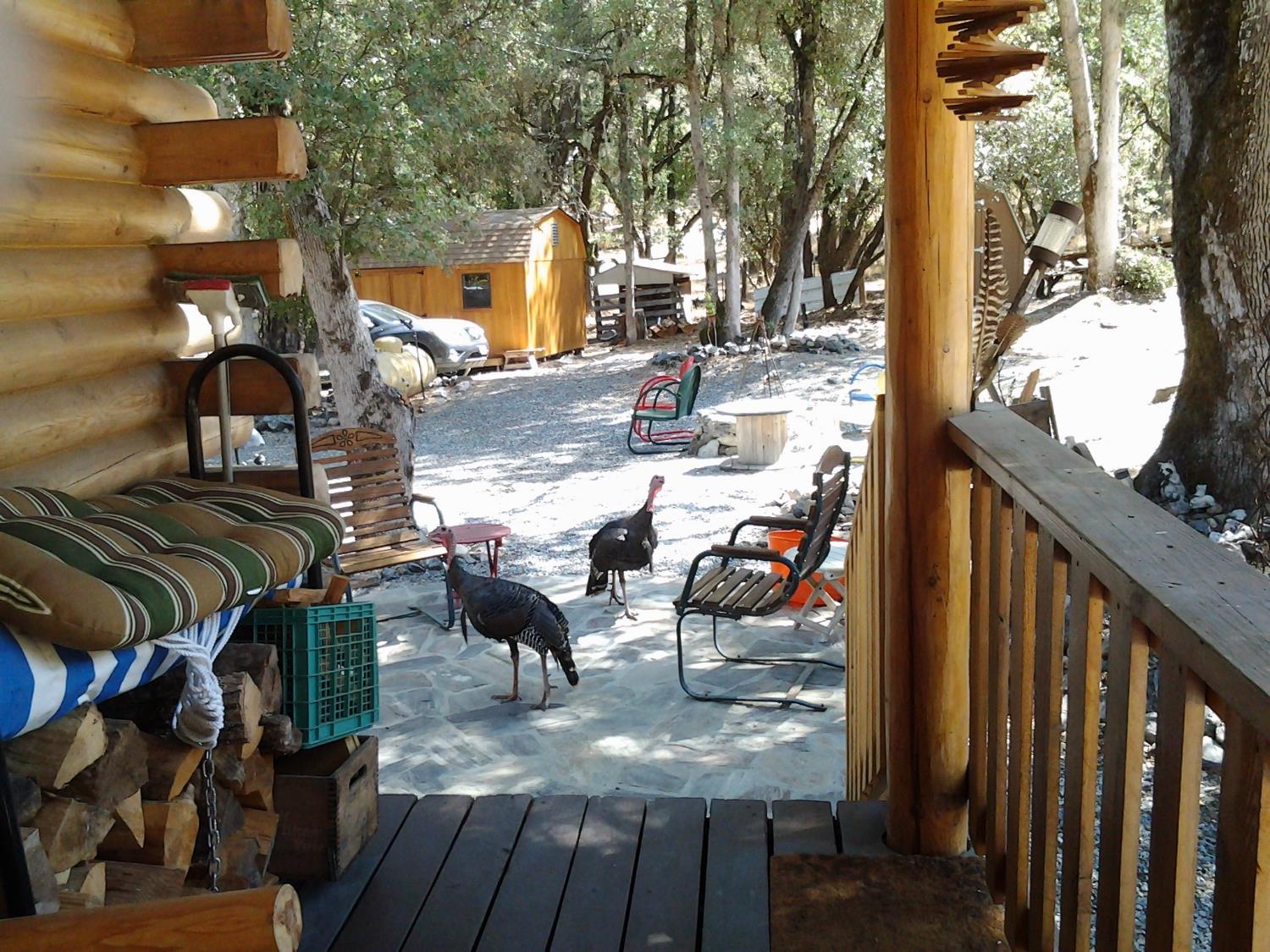 9110 Hidden Valley Road Mountain Ranch, CA 95246 - Photo 39 of 44