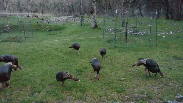 a view of outdoor space with deck and yard