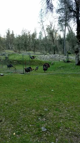 $319,500 | 9110 Hidden Valley Road, Mountain Ranch, CA 95246