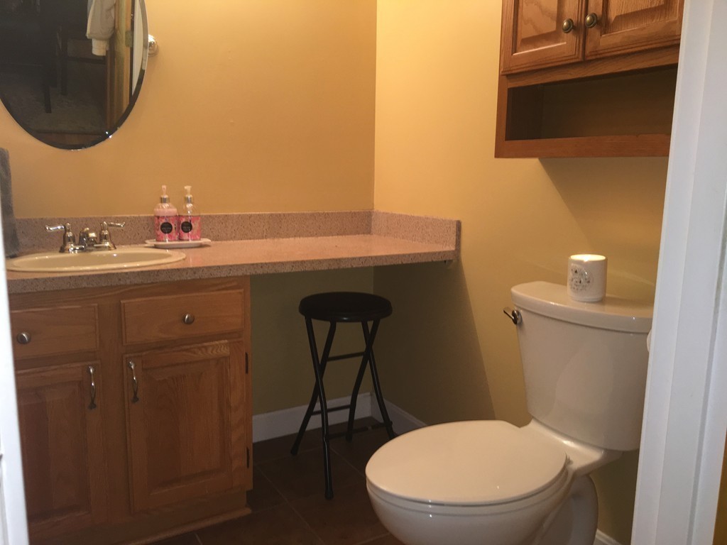 49 Captain Eames Circle, Unit 49 Ashland, MA 01721 - Photo 12 of 12 a bathroom with a toilet a sink and mirror