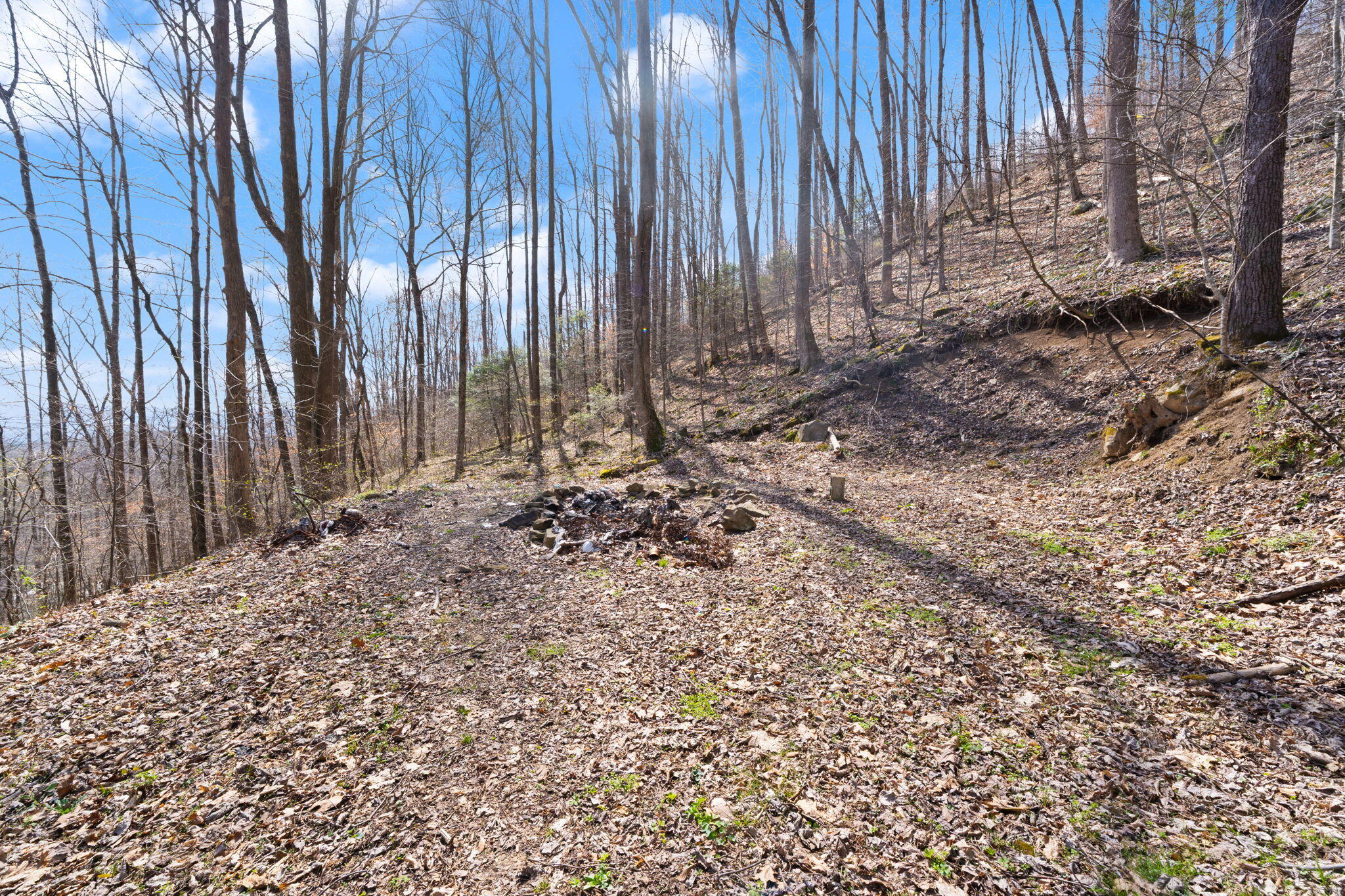 1197 Beans Fork Road Middlesboro, KY 40965 - Photo 13 of 28
