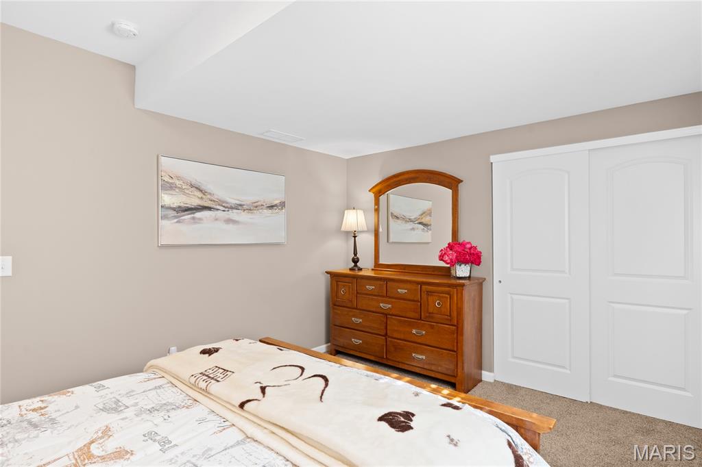 8009 Tahoe Ridge Lane Caseyville, IL 62232 - Photo 57 of 64