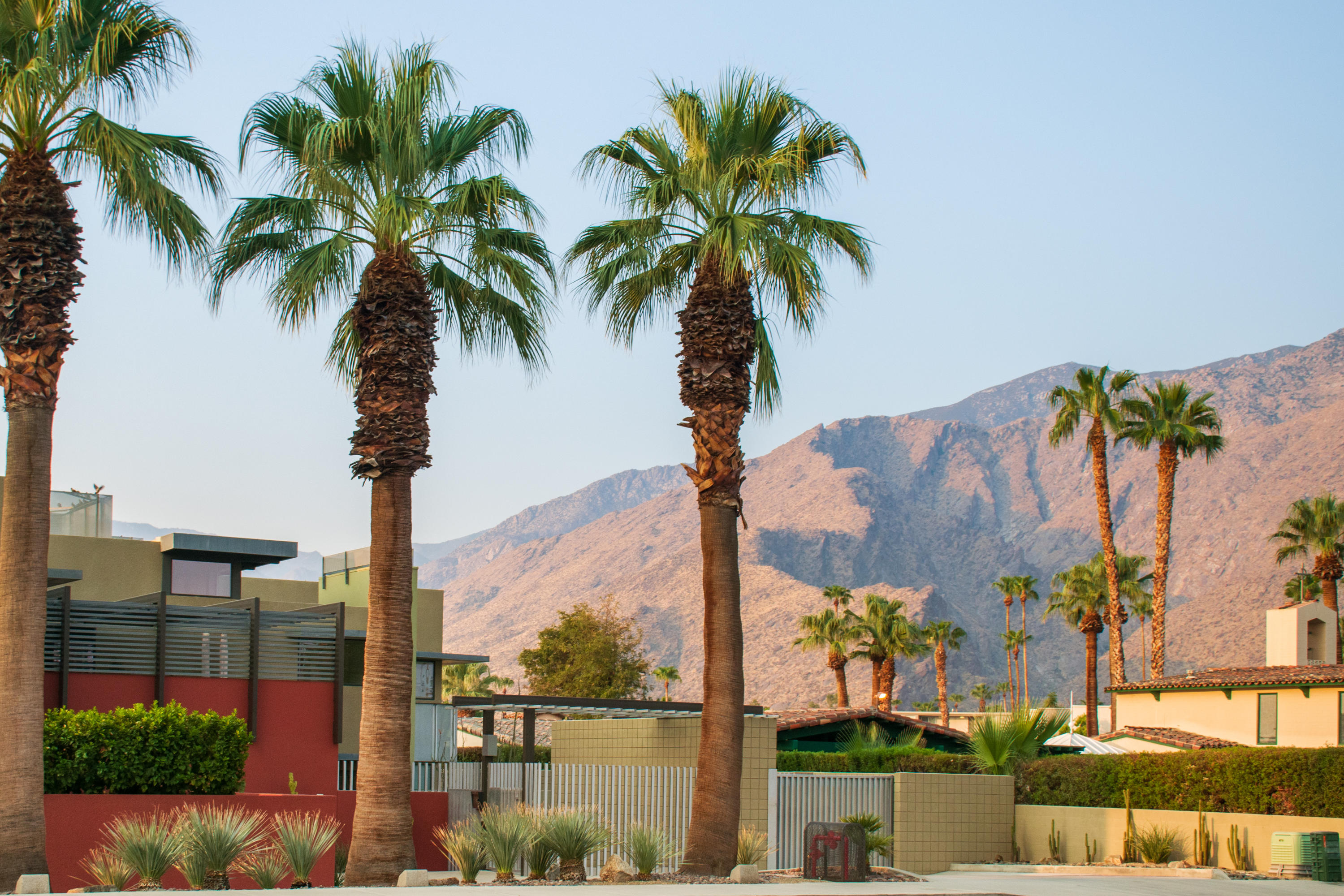 649 East Arenas Road Palm Springs, CA 92262 - Photo 1 of 41 649 Arenas