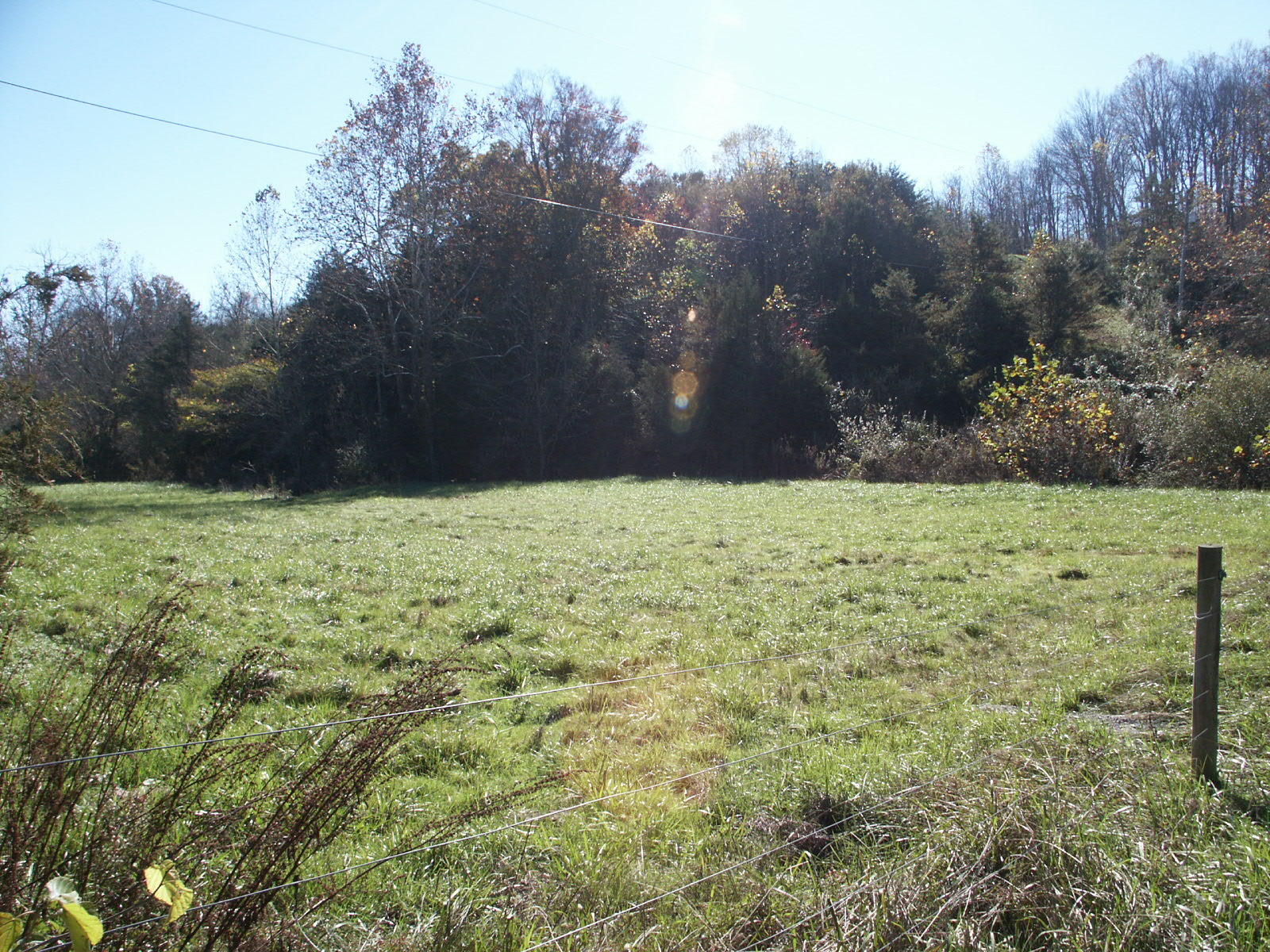 1469 Prease Road Buchanan, VA 24066 - Photo 18 of 21 PICT0633