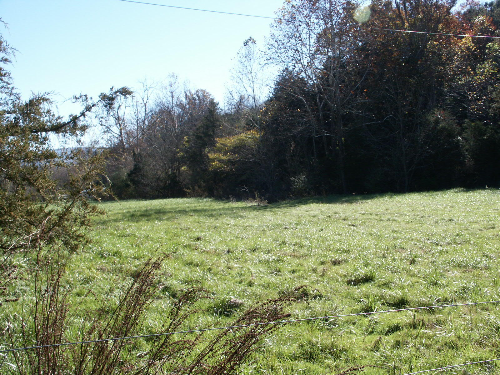 1469 Prease Road Buchanan, VA 24066 - Photo 19 of 21 PICT0635